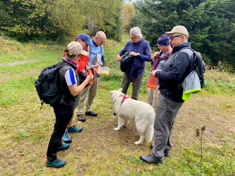 Ute Hesse, Vitalfastencoach, Buchinger Fasten, Wandern, Fasten, Wellness, Alpenblick im Schwarzwald Ute Hesse, Vitalfastencoach, Buchinger Fasten, Wandern, Fasten, Wellness, Alpenblick im Schwarzwald